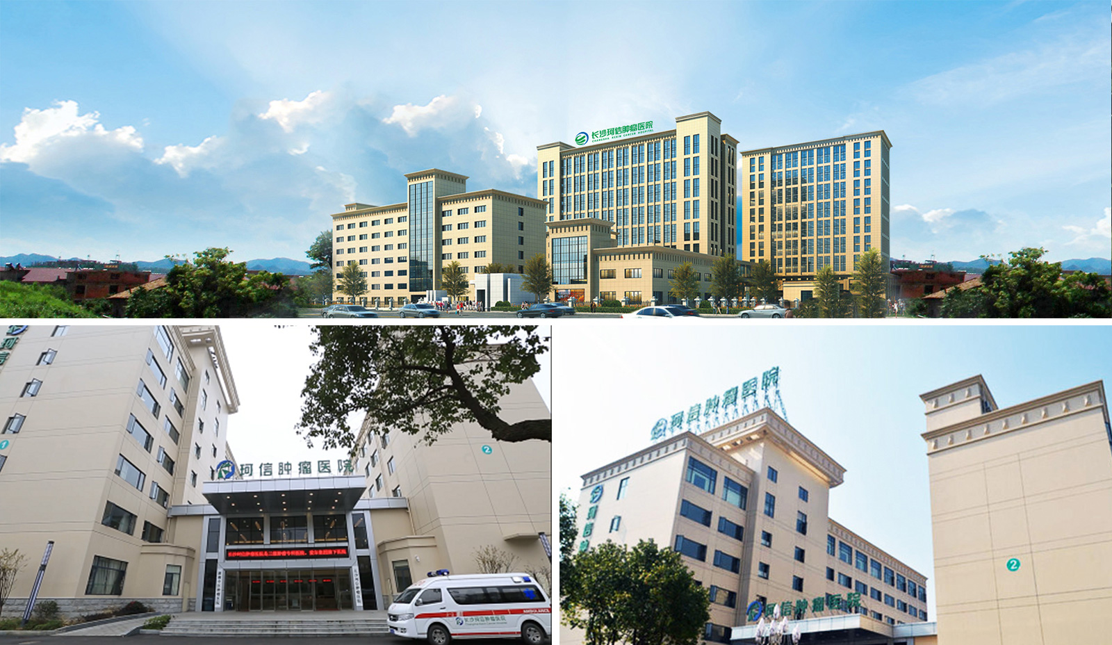 25b3f8cb-610b-4333-9489-d4e011b38d53